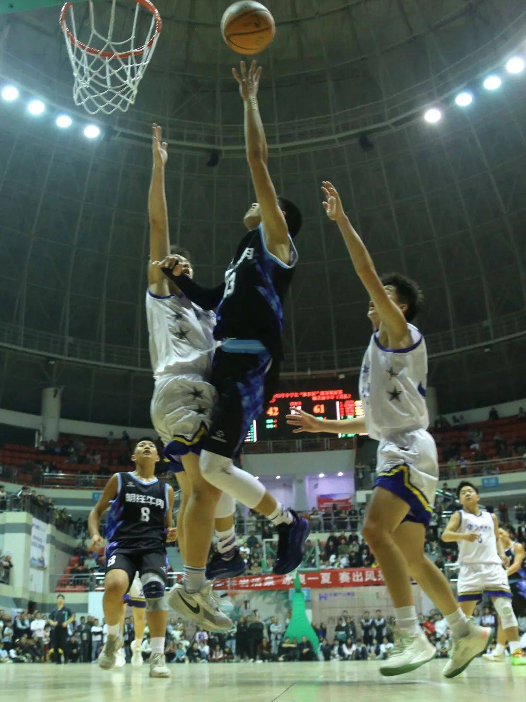 五洲球员在北美职业赛场上演篮球盛宴