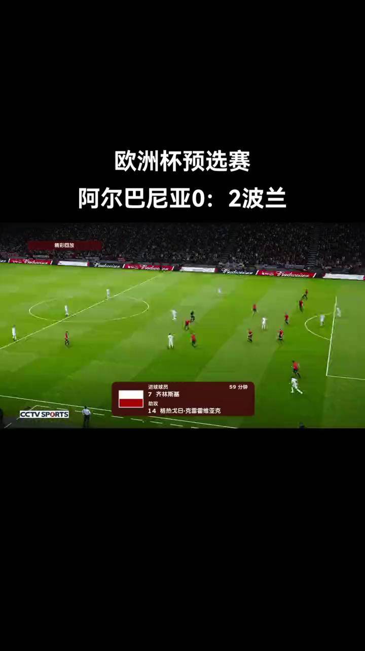 阿尔巴尼亚国家队在欧预赛中大放异彩的简单介绍