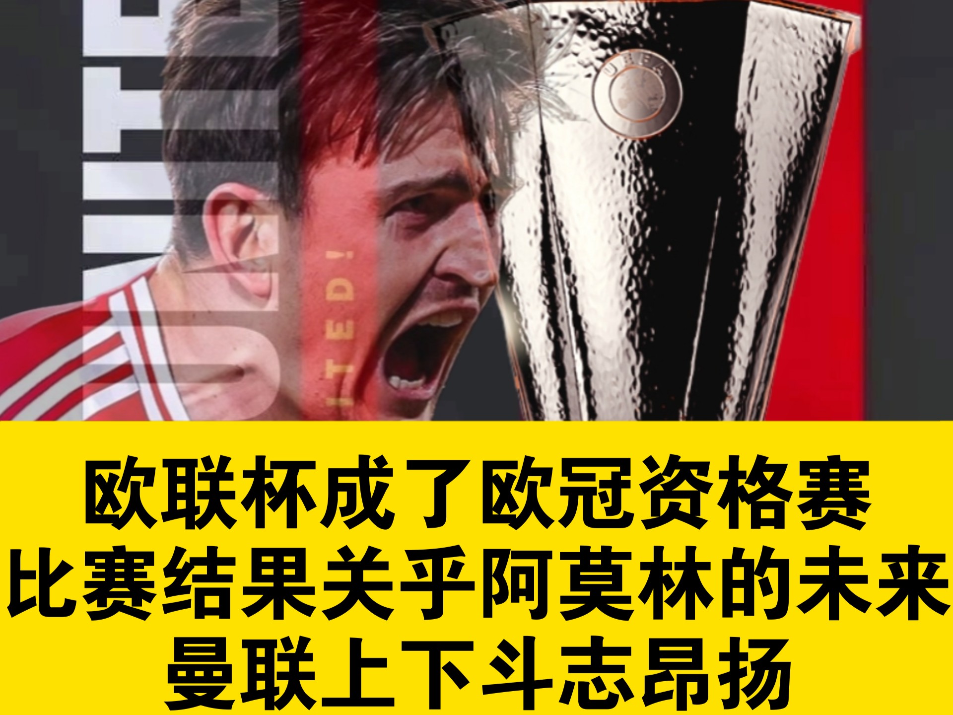 曼联球迷现场助威，激发球队夺冠斗志的简单介绍